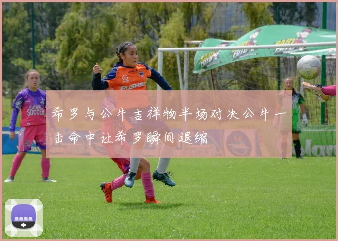 希罗与公牛吉祥物半场对决公牛一击命中让希罗瞬间退缩