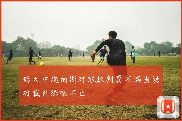 怒火中烧纳斯对球权判罚不满当场对裁判怒吼不止