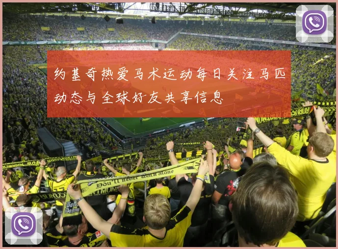 约基奇热爱马术运动每日关注马匹动态与全球好友共享信息