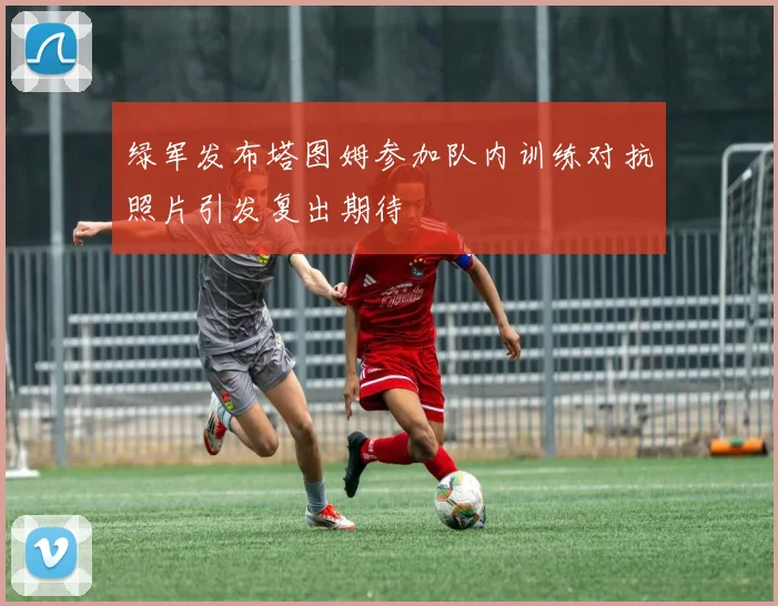 绿军发布塔图姆参加队内训练对抗照片引发复出期待